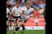 See Griquas vs Lions rugby online