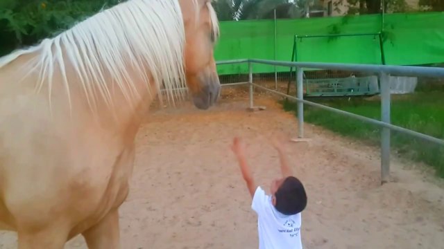ילד מיוחד, עם סוס מיוחד. boy with Williams syndrome creates nonverbal communication with a horse