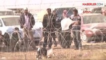 Suriye Sınırına Obüs Topları Yerleştirildi