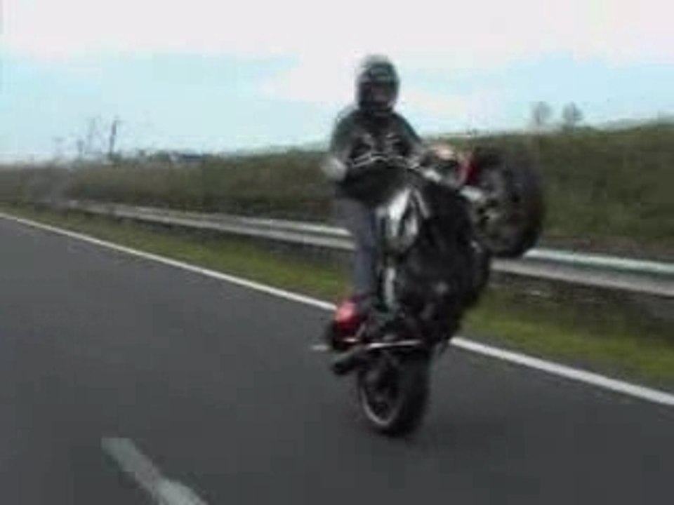 stunt moto