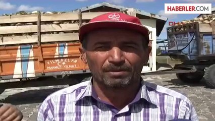 Sorgun'da Pancar Alım Kampanyası Törenle Başladı