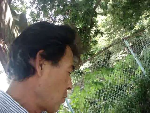 peg tube 老人ホーム nursing homes in japan