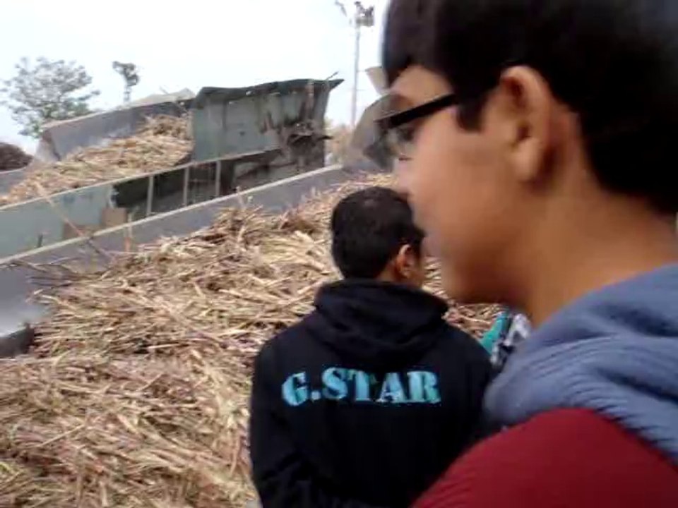 Sugarcane Truck Unloading Process in a Sugar Mill