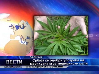 TV SPEKTRA VESTI 24.09