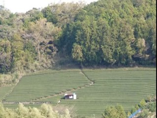 きもいおじさんの雑談　2011 12 03　23：39