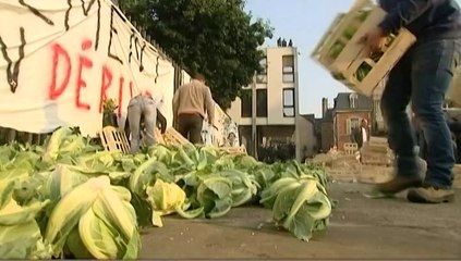 Des légumiers bretons déversent des choux-fleurs devant la préfecture des Côtes-d'Armor