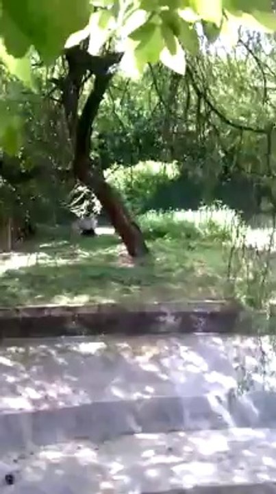 This is happened in Delhi Zoo today.