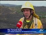60 hectáreas del bosque Papagayo fueron consumidas en incendio