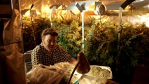 TRAILER PARK BOYS 3 _Don't Legalize It_ Trailer (Drug Comedy - 2014)