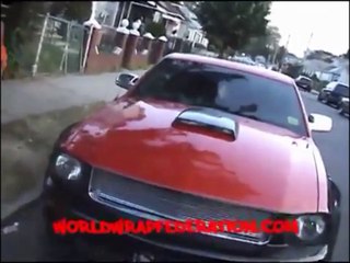 Mazaradi Fox Scurry Life Exclusive