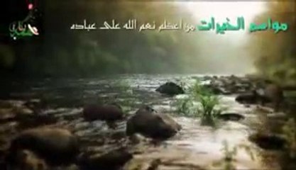 فاعل خير مصطفى