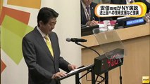 安倍総理の手（気候サミットでのスピーチ）