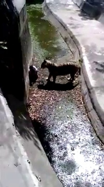 This is happened in Delhi Zoo