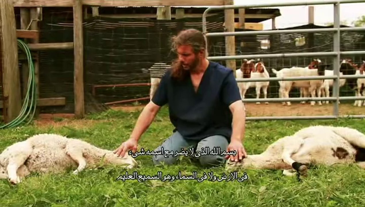 Mercy Halal Islamic Slaughter Part 1 / karigari nawi khuda lasar gyandaran - Kurdish Subtitle