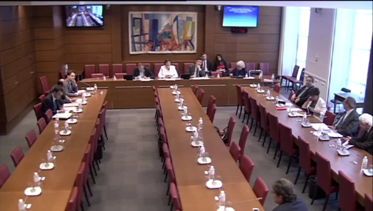 Audition de M. Matthias Fekl, secrétaire d'Etat au commerce extérieur - Mercredi 24 Septembre 2014