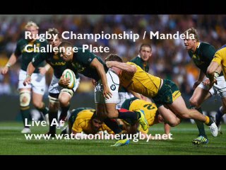 Watch Australia vs South Africa live rugby stream