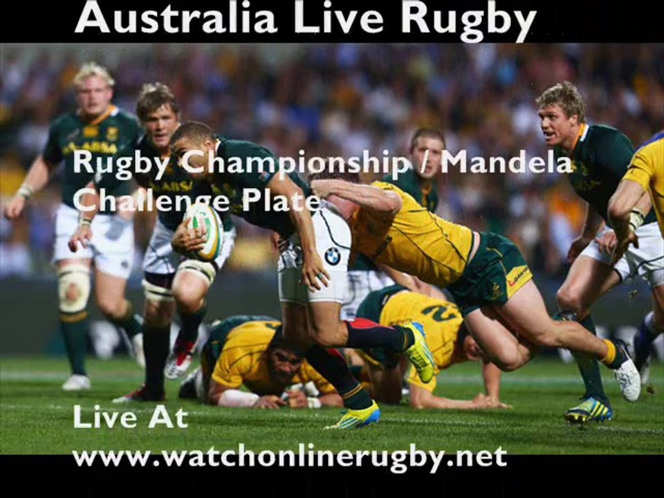 Watch Australia vs South Africa rugby online
