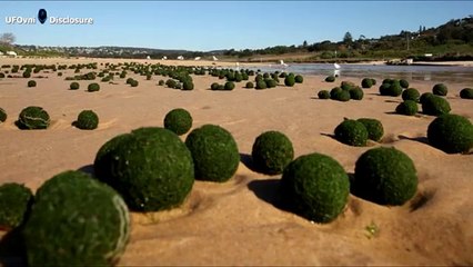 ufo.étrange sphères Alien ? Sydney . Beach.09.2014