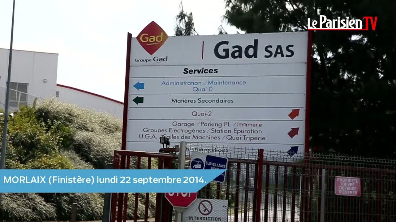 Illettrisme chez Gad : «Emmanuel Macron n'aide pas les demandeurs d'emploi»