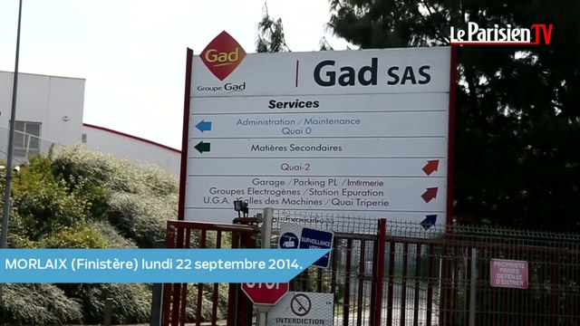 Illettrisme chez Gad : «Emmanuel Macron n'aide pas les demandeurs d'emploi»