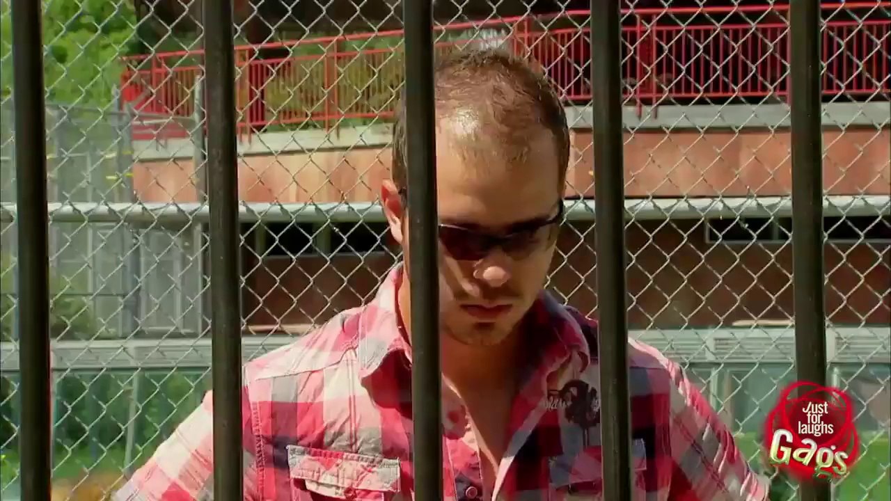 Scary Invisible Tiger Prank - Just For Laughs Gags