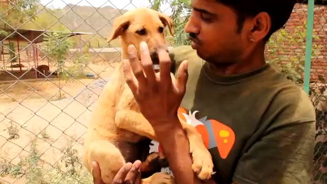 Qu’a découvert cet homme dans ce puits ?