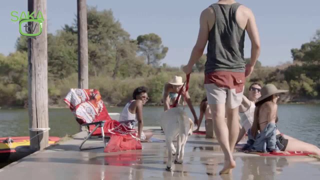 İnsanın En Büyük Dostu