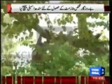 Unemployed youth climbs over a tree in Sindh Assembly, to protest against non-provision of job