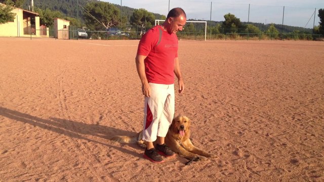 Dressage canin la ciotat 13600 Deuxieme leçon de Brams( toutoucool13.fr)