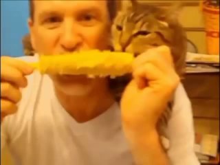 FUNNY GIFS - FUNNIEST CLIPS - FUNNY ANIMALS