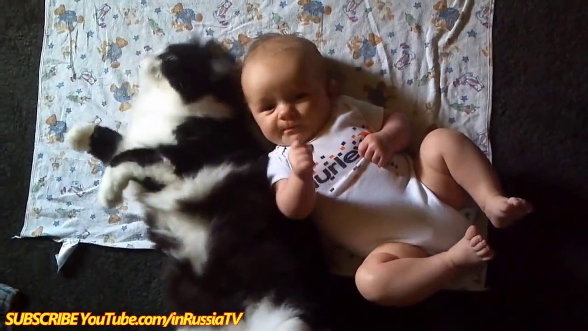 FUNNY VIDEOS_ Funny Cats - Funny Baby - Funny Cat Videos - Funny Animals - Funny Babies Videos