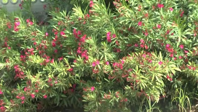 LES W-D.D. MICHOU FRIDAY NEWS - 27 JUIN 2014 - ENCORE QUELQUES NOUVEAUTES A DECOUVRIR AU STADE NAUTIQUE..