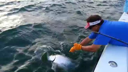 Miami offshore Fishing Charter