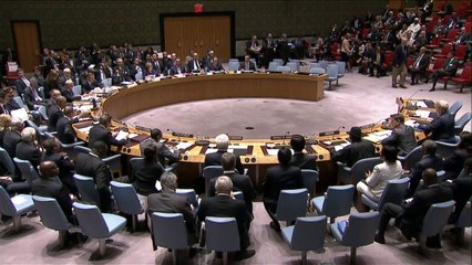 Le Conseil de sécurité de l'ONU lance la chasse aux jihadistes