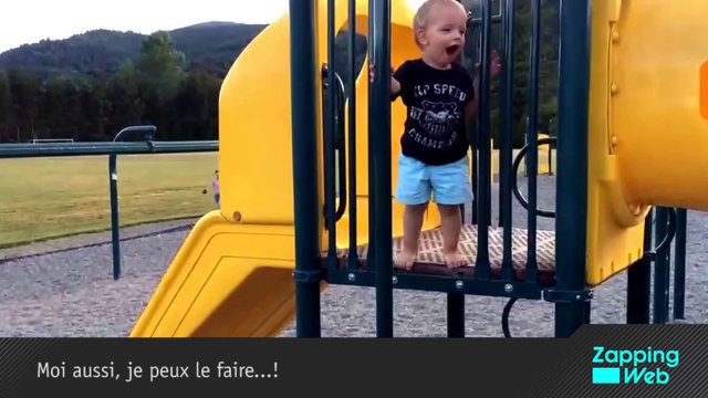 Un chat retombe toujours sur ses pattes