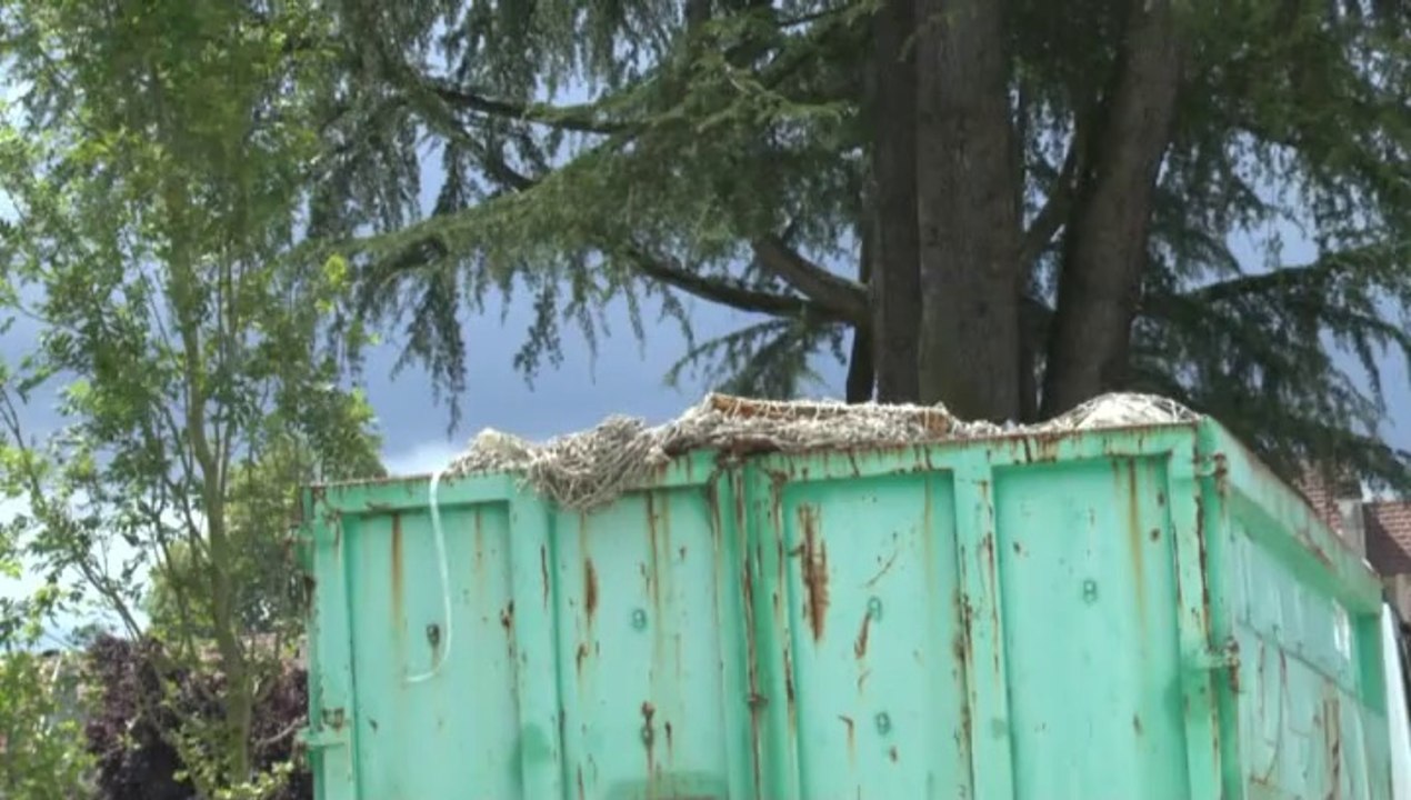 LES W-D.D. MICHOU FRIDAY NEWS - 8 ET 10 JUILLET 2014 - ALLONS OBSERVER LE STADE NAUTIQUE ET SES ALENTOURS IL Y A TANT DE CHOSES A VOIR...