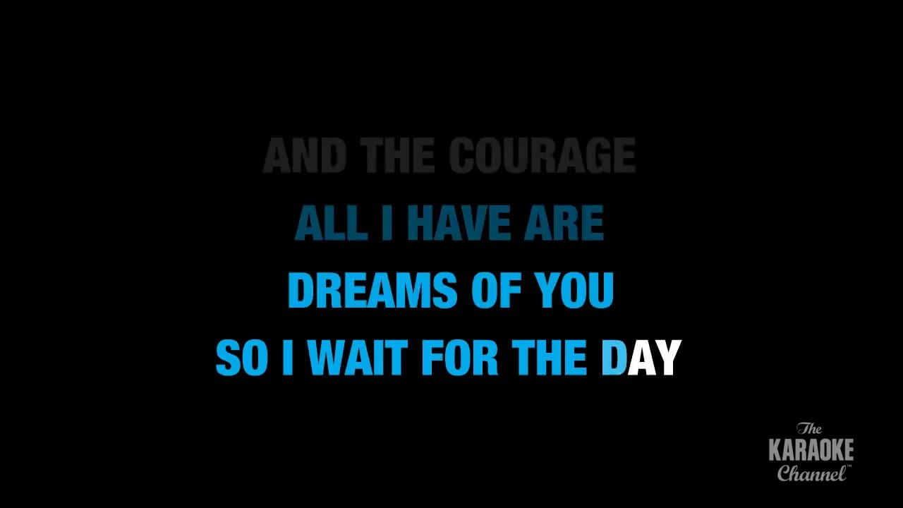 Dreaming Of You in the Style of _Selena_ with lyrics (no lead vocal)