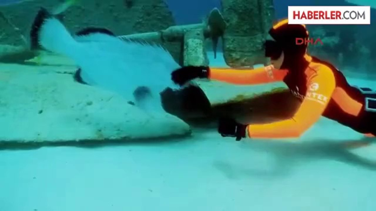 Yasemin Dalkılıç'ın Dünyanın İnanılmaz Dalışları Adlı Belgeseli Çekildi