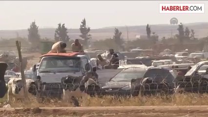 Tel Örgüleri Aşan Keçi, Türkiye'ye Kaçtı