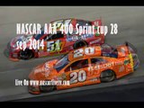 nascar AAA 400 Sprint cup Racing racers online