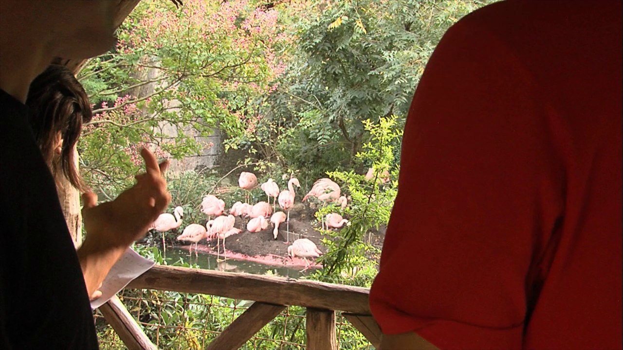 Jo-Wilfried Tsonga ami des animaux