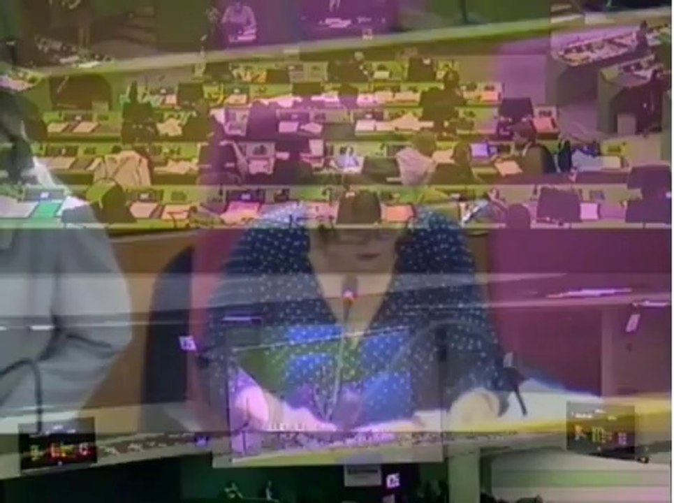 Région IDF_ DGFL 2015_ Josy Mollet Lidy