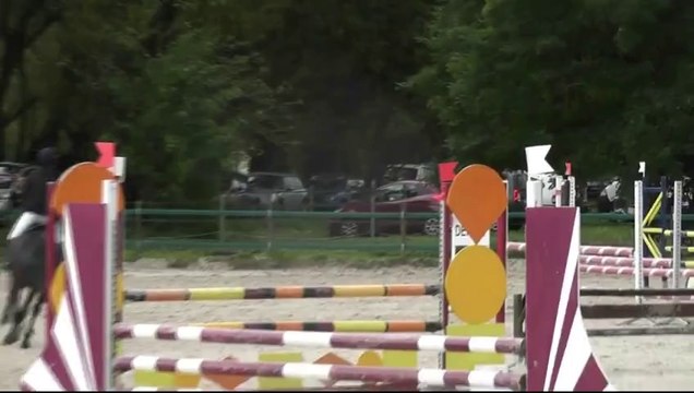 Rose des Longs, Poney Français de Selle, IPO 144