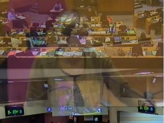 Région IDF_ Bilan SRDEI_ Muriel Guenoux