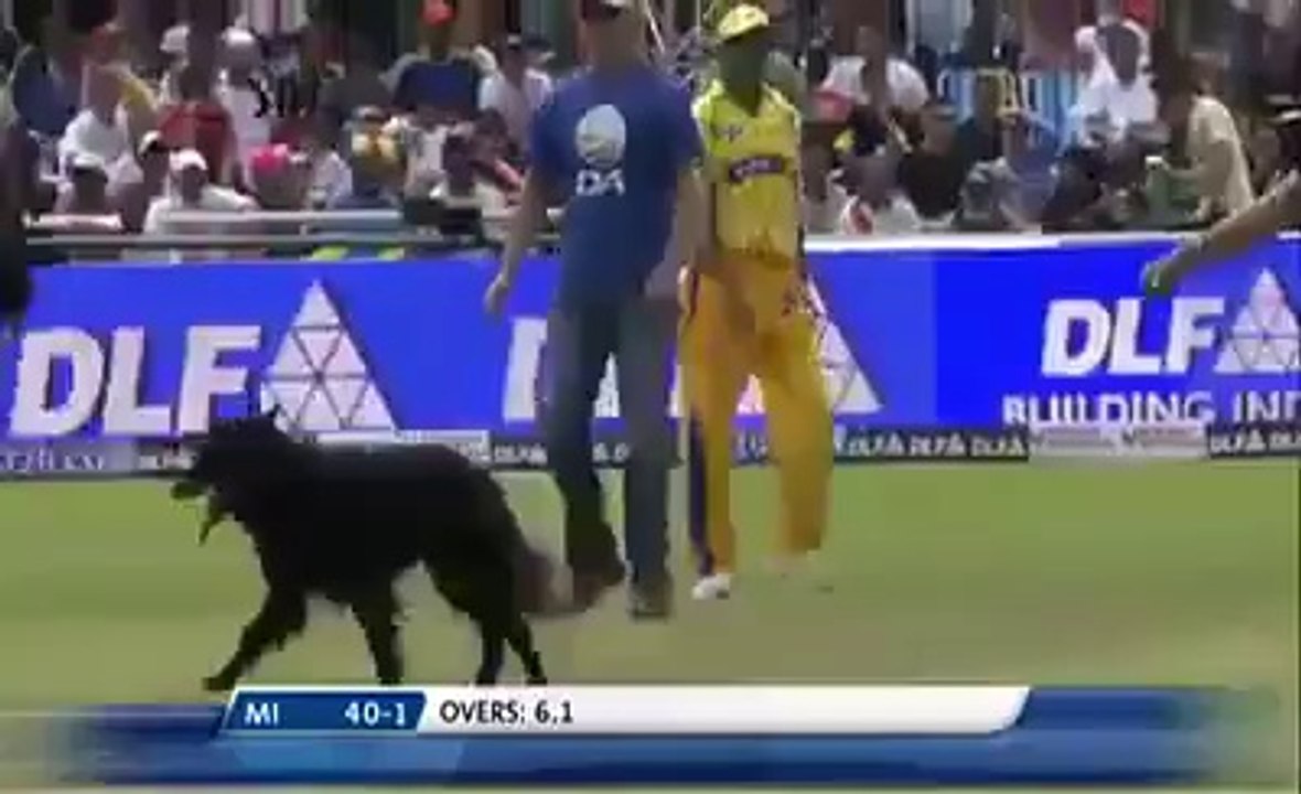 HAHAHAHAH Very funny DOG