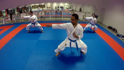 Objectif Brême 2014  - Sur le tatami avec les équipes Kata ...