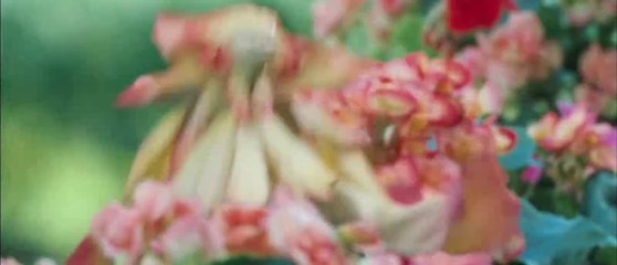 Spiderwick Chronicles - Trailer (VO)