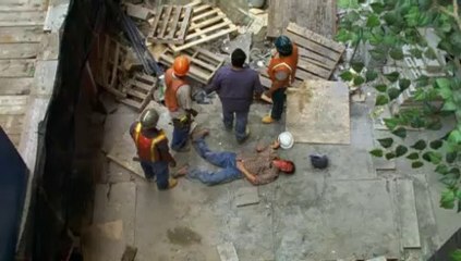 Phénomènes - Bande-annonce (VF)