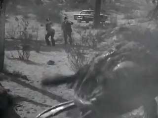 Des monstres attaquent la ville - Extrait