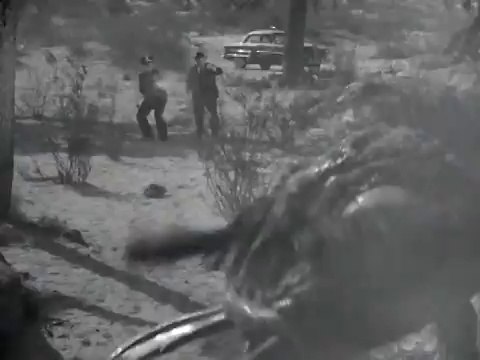 Des monstres attaquent la ville - Extrait